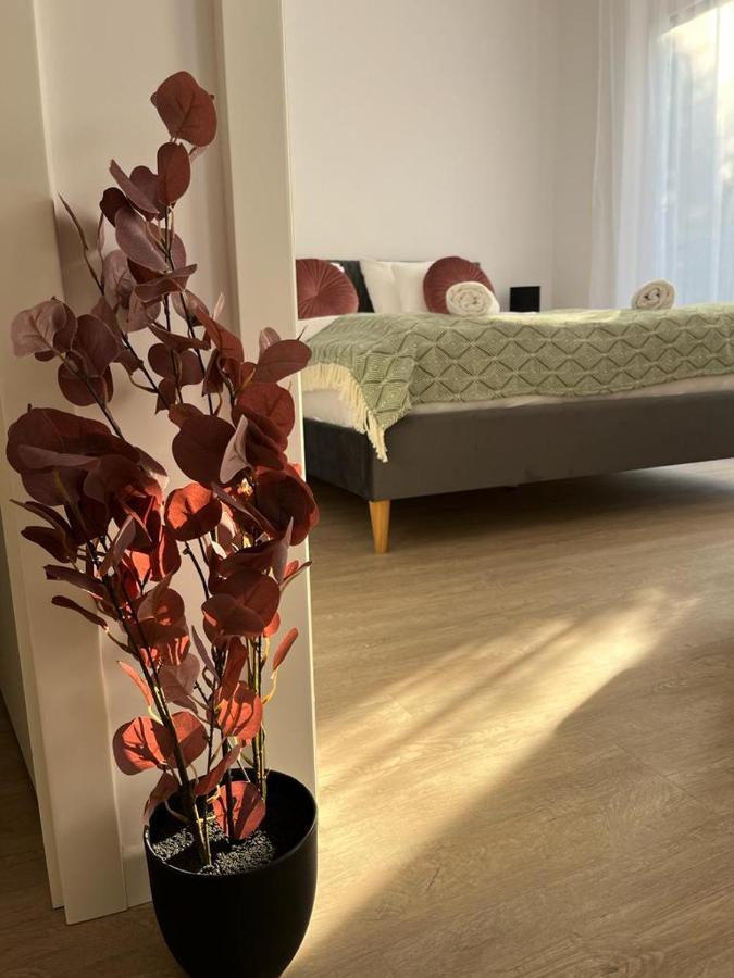 Mathias Premium Apartments Szeged Exterior photo